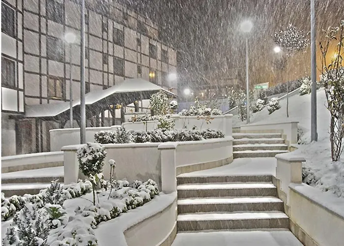 아파트 Davidovic *